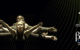 Banner BetaAmigo basico